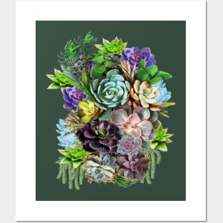 Succulents on show Posters and Art